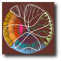 Top down rooted-tree of Universal ontology of geographic space and semantic overlap of mapped application ontologies